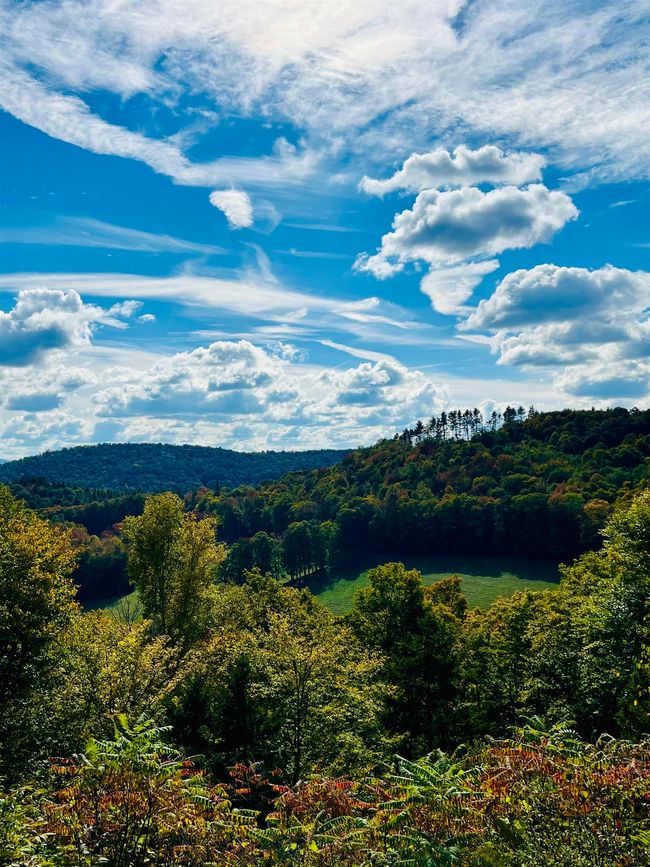 1133 Atwood Ln, House other with 3 bedrooms, 3 bathrooms and null parking in Woodstock VT | Image 55