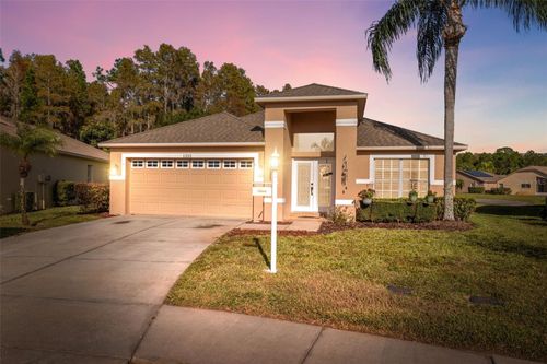 1201 Dustan Pl, TRINITY, FL, 34655-7172 | Card Image