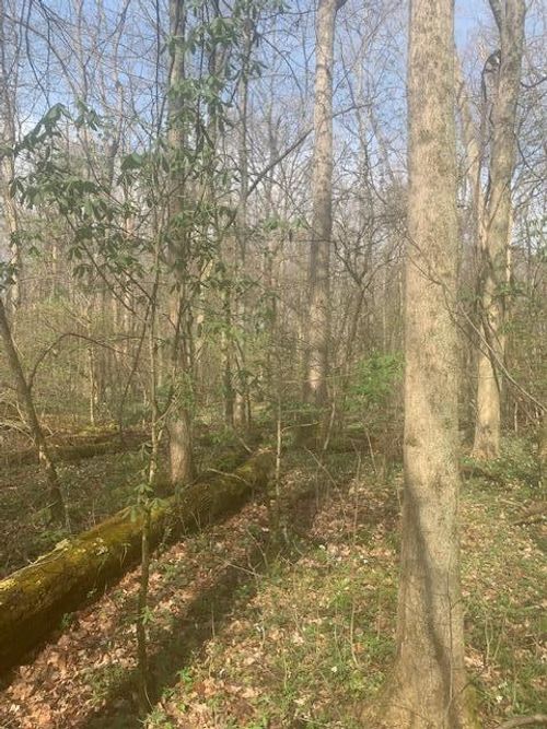 0 Township Road 188, Cardington, OH, 43315 | Card Image