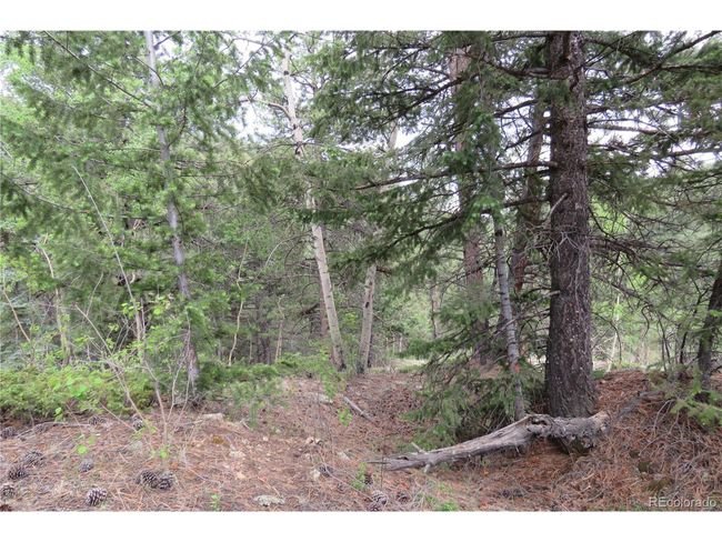 0 Come And See Mine, Home with 0 bedrooms, 0 bathrooms and null parking in Central City CO | Image 23