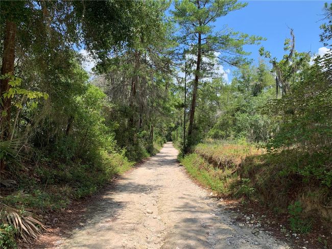24645 Ne 177 Th Ter, House other with 2 bedrooms, 1 bathrooms and null parking in Fort Mc Coy FL | Image 83