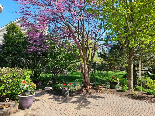 12941 Grande Poplar Cir, House other with 4 bedrooms, 3 bathrooms and 6 parking in Plainfield IL | Image 40