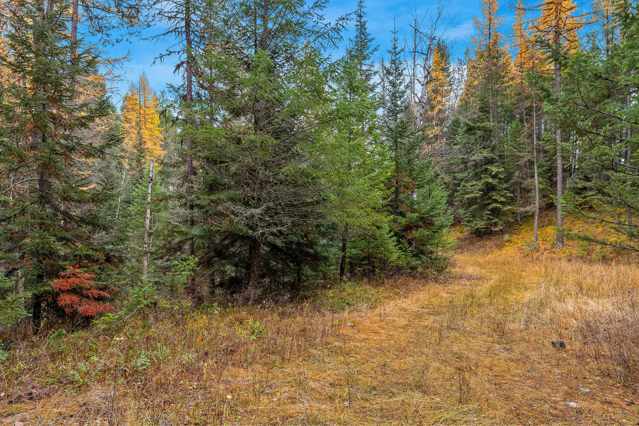 Land in Kalispell 4