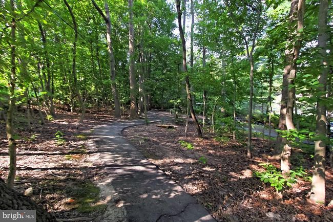APT-102 - 5920 Cove Landing Rd, Condo with 2 bedrooms, 2 bathrooms and null parking in BURKE VA | Image 34