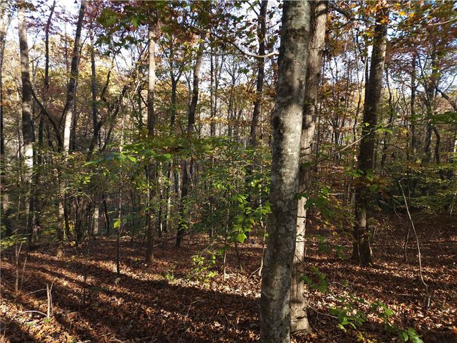 00 N Ridge Dr, Home with 0 bedrooms, 0 bathrooms and null parking in Travelers Rest SC | Image 4