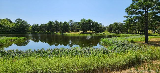 5253 S Research Rd, Home with 0 bedrooms, 0 bathrooms and null parking in Lane OK | Image 46