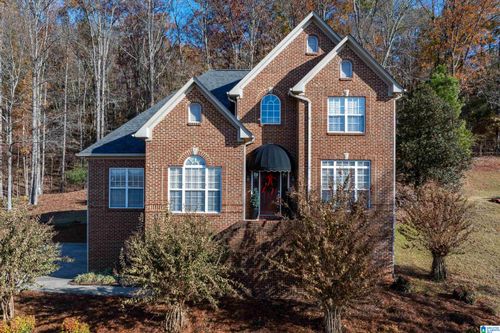 973 Macdonald Lake Rd, SPRINGVILLE, AL, 35146-3850 | Card Image