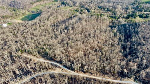 Lot#13 Mill Creek Rd, Sunbright, TN, 37872 | Card Image