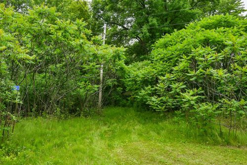 19231 Highwood Shores Rd, Pine City, MN, 55063-5412 | Card Image