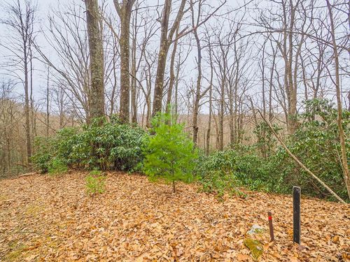 TBD Spring Lure Trl, Fancy Gap, VA, 24328 | Card Image