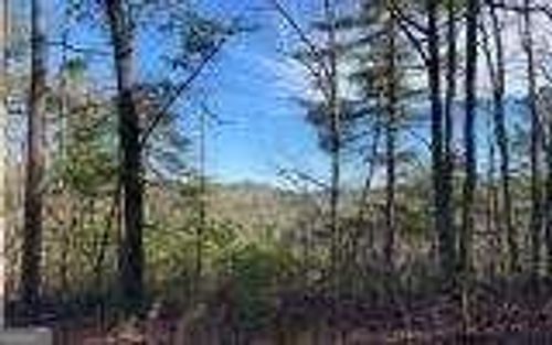 1025 Raccoon Rdg Ne, Ranger, GA, 30734-6741 | Card Image