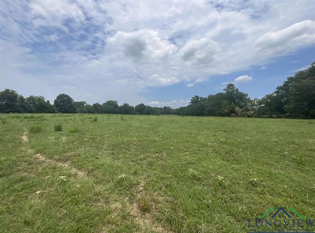 Tract 2 Cr 2314, Home with 0 bedrooms, 0 bathrooms and null parking in Pittsburg TX | Image 7
