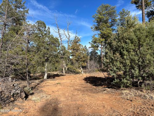 6992 Wagon Wheel Ln, Lakeside, AZ, 85929-5488 | Card Image