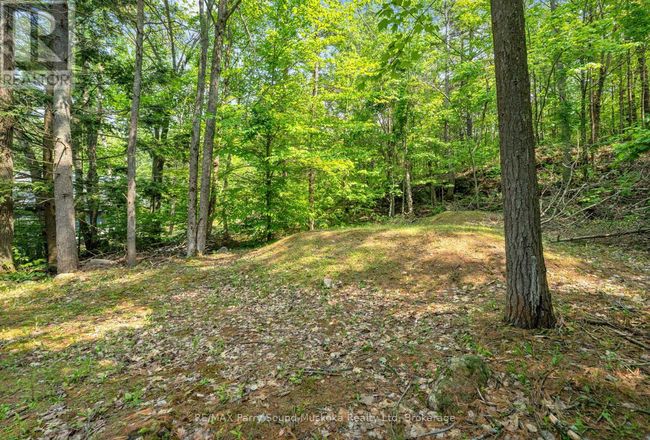 124 Healey Lake Water, House other with 2 bedrooms, 2 bathrooms and null parking in The Archipelago ON | Image 33
