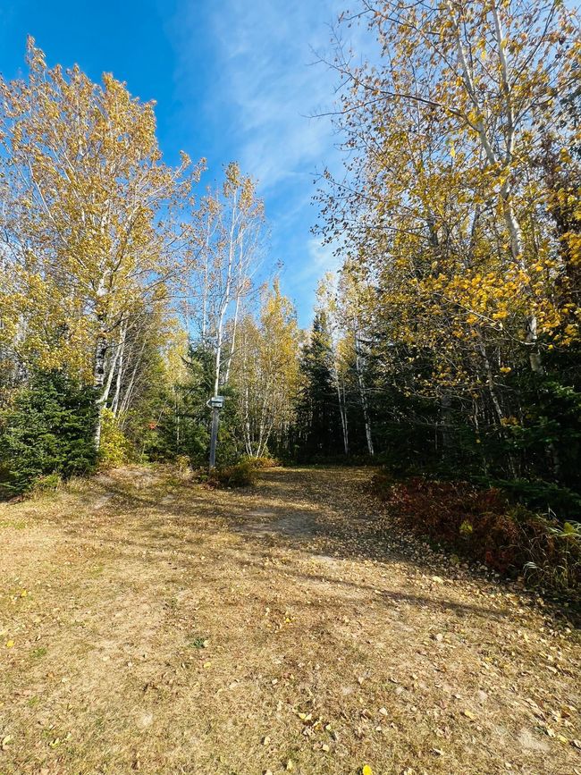 28320 State Highway 1, House other with 3 bedrooms, 1 bathrooms and null parking in Effie MN | Image 32