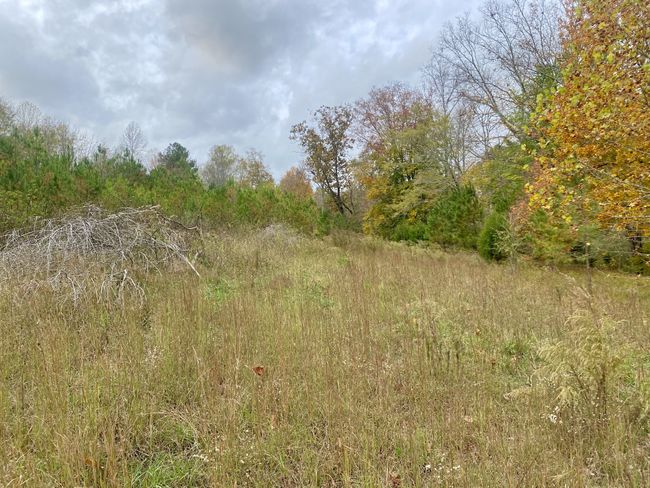 427 Blooming Grove Rd, House other with 2 bedrooms, 2 bathrooms and null parking in Five Points TN | Image 34