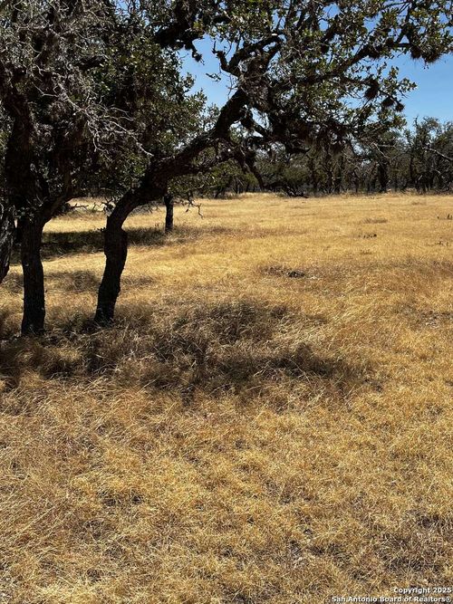 LOT 85 Stock Pond Dr., Harper, TX, 78631 | Card Image