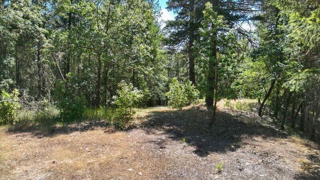 9 Lower River | Image 9