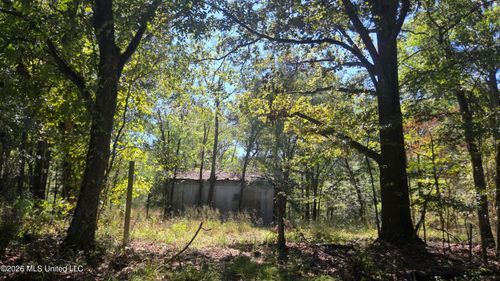 0 Bill Strong Rd, Edwards, MS, 39066 | Card Image