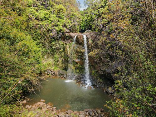 34-1480 Honomainoa Rd, PAPAALOA, HI, 96780 | Card Image