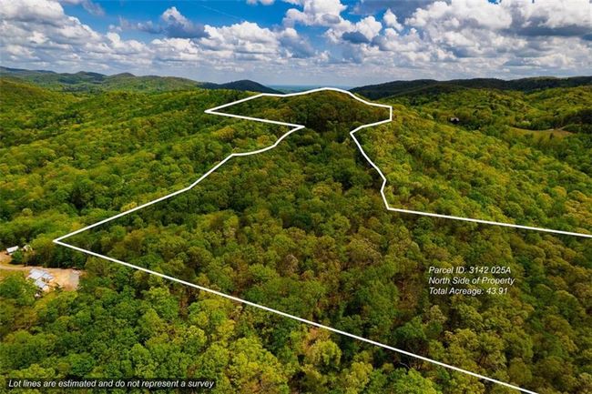 91 - 43 Old Burnt Mountain Rd, Home with 0 bedrooms, 0 bathrooms and null parking in Ellijay GA | Image 6