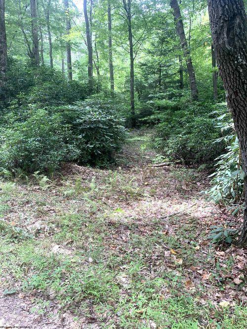 3311 Hanging Run Road, Belington, WV, 26250 | Card Image