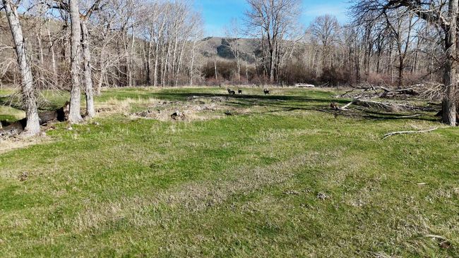 9430 Us Highway 93 S, Home with 0 bedrooms, 0 bathrooms and null parking in Lolo MT | Image 34