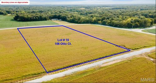 106 Otto Ct, SILEX, MO, 63377-4404 | Card Image