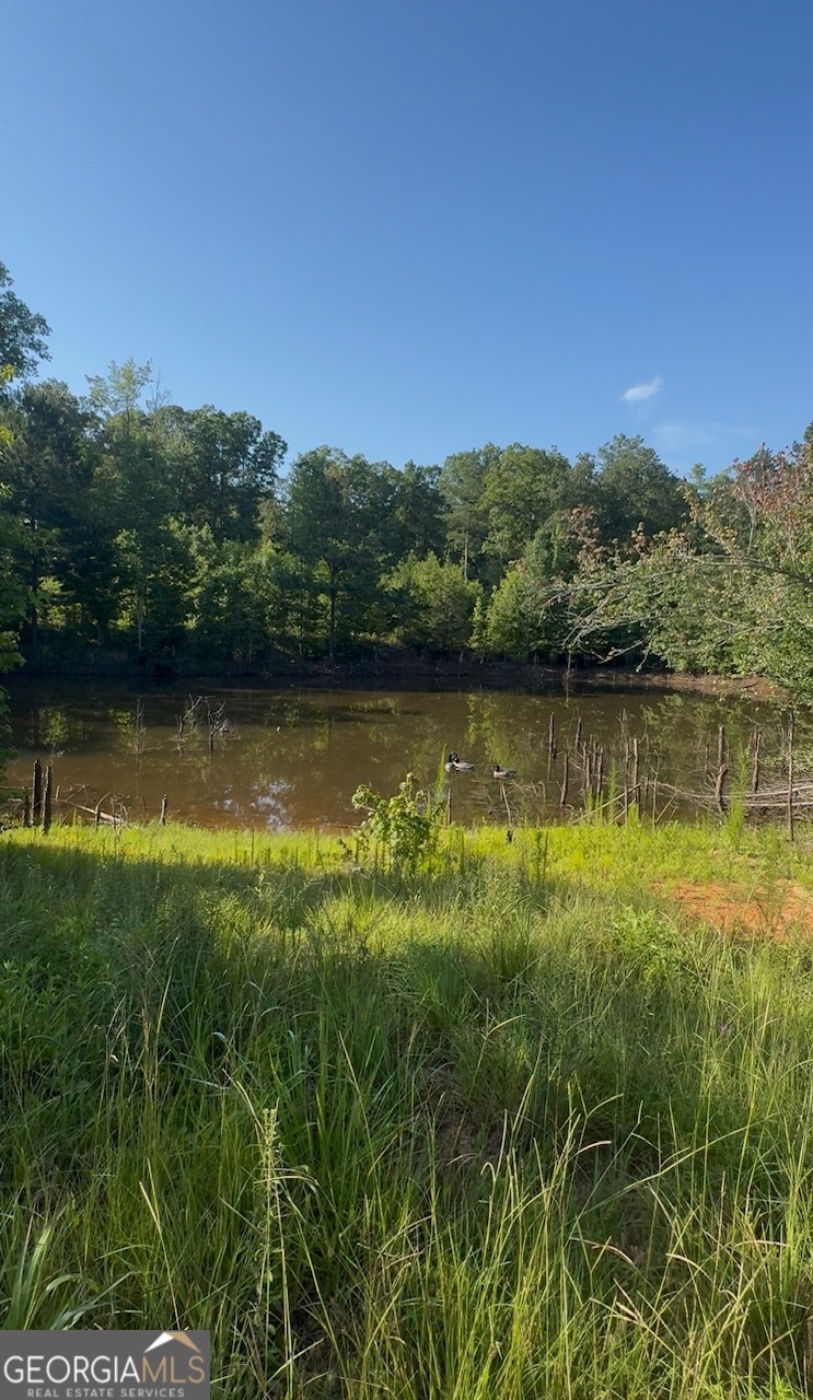 Land in Yatesville 4