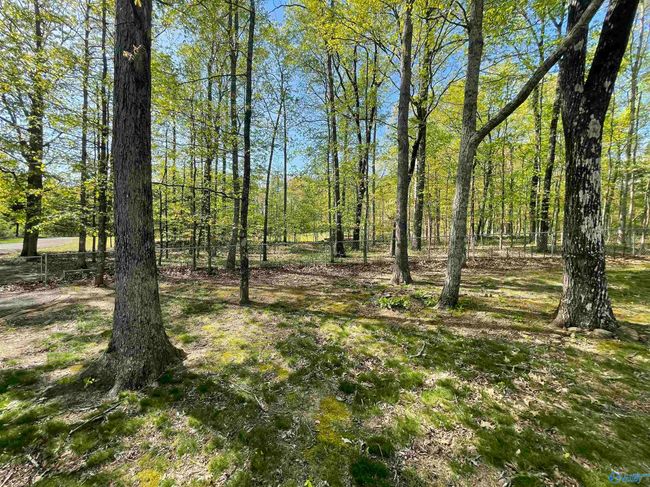 760 Range Rd, House other with 4 bedrooms, 3 bathrooms and null parking in Gurley AL | Image 5