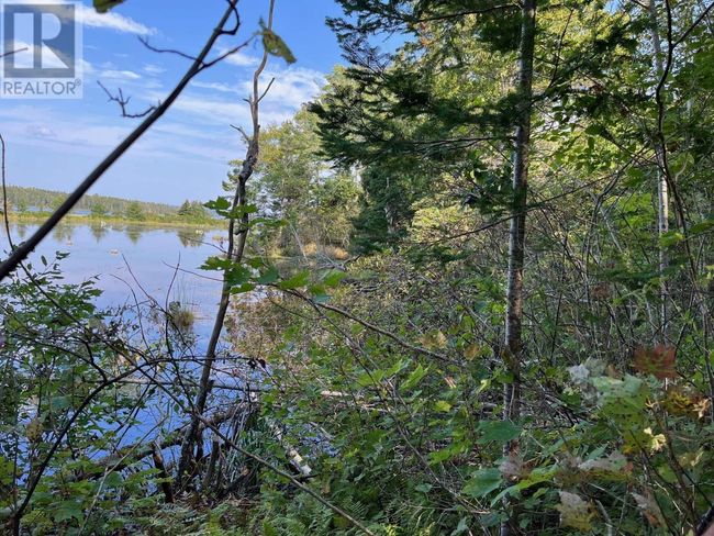 3552 Washabuck Rd, House other with 3 bedrooms, 1 bathrooms and null parking in Upper Washabuck NS | Image 23