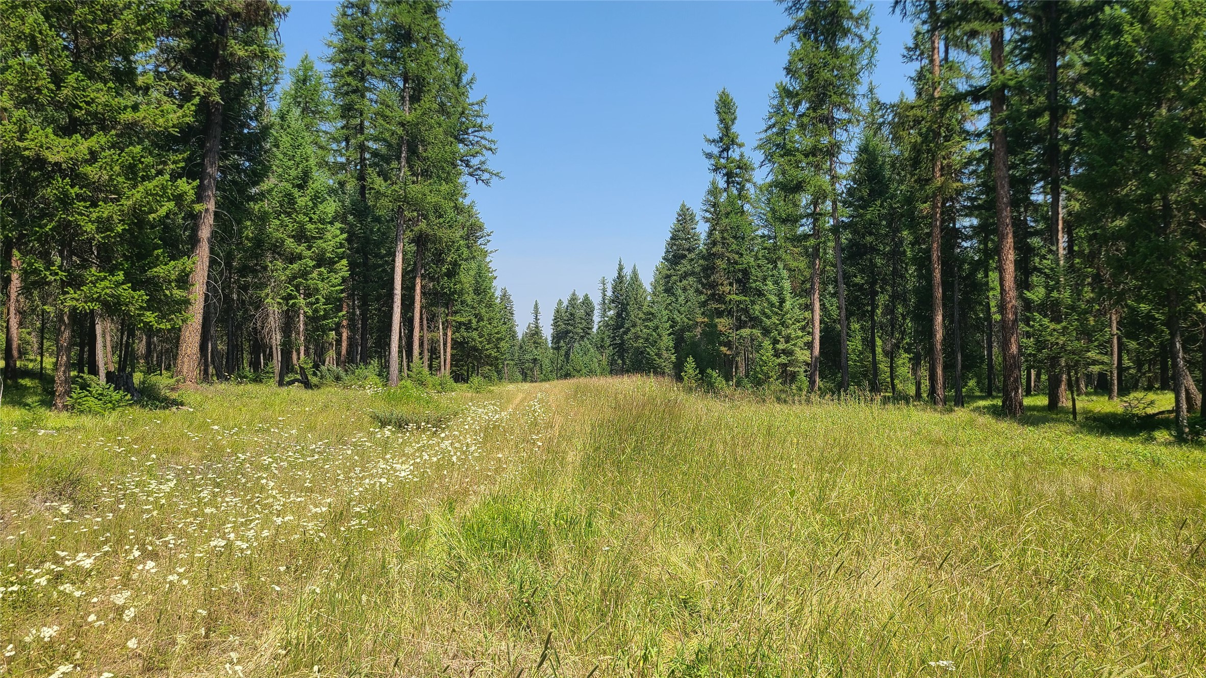 Land in Whitefish 4