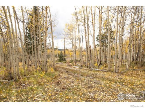 411 Tesuque Trl, Red Feather Lakes, CO, 80545 | Card Image