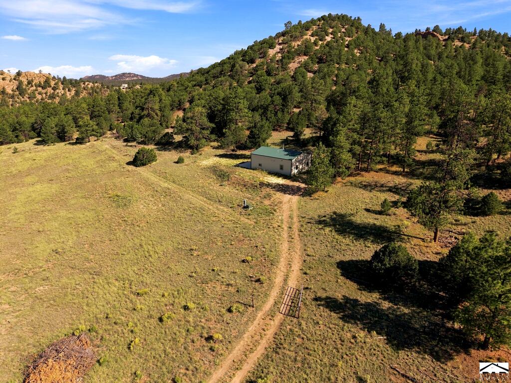 Residential in Westcliffe 5