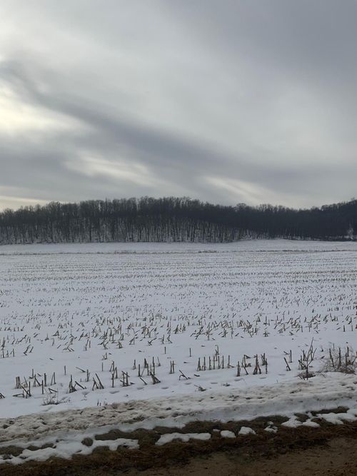 TBD Back Valley Rd, Pepin, WI, 54759 | Card Image