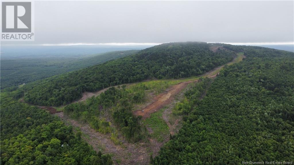 Land in Central Hainesville 3