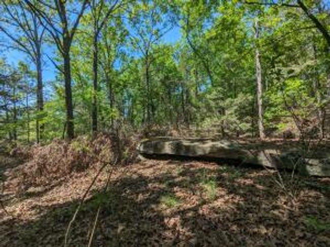 TBD 7A Spring Creek Trail, Home with 0 bedrooms, 0 bathrooms and null parking in Cecil AR | Image 7