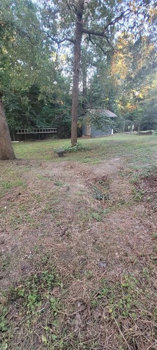 Back yard. | Image 25