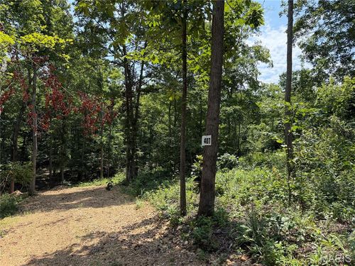 #407 Madison 410, Fredericktown, MO, 63645 | Card Image