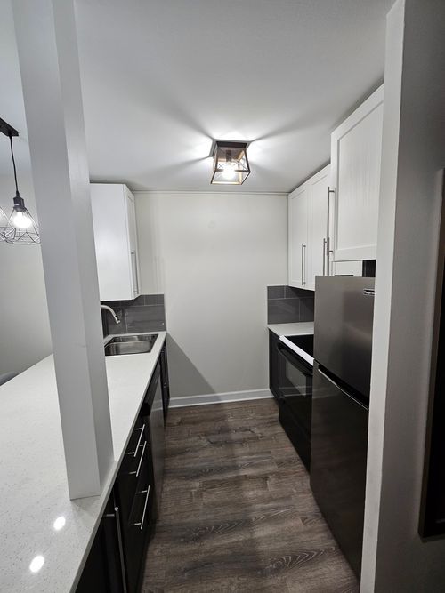 1108-233 E Erie St, Chicago, IL, 60611-5941 | Card Image