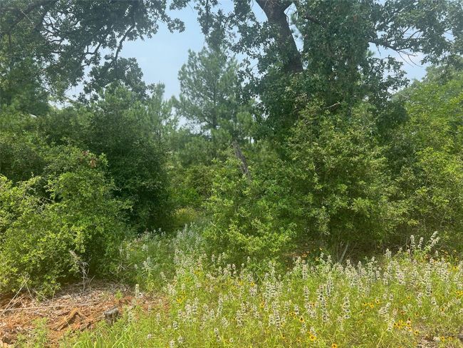 330 Powell Rd, Home with 0 bedrooms, 0 bathrooms and null parking in Smithville TX | Image 14