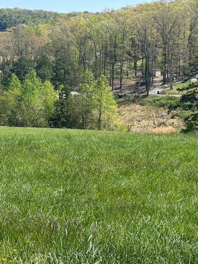 104 Shoreline Vis, Home with 0 bedrooms, 0 bathrooms and null parking in Morristown TN | Image 5