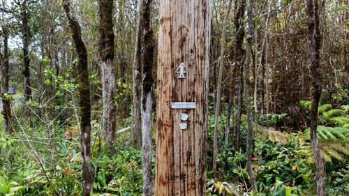 11-3046-A Anuhea St, VOLCANO, HI, 96785 | Card Image