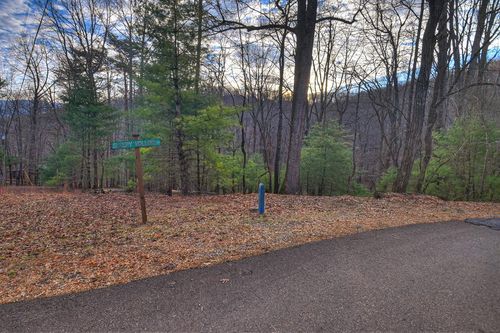 LT M57 Walnut Mountain Ct, Ellijay, GA, 30536 | Card Image
