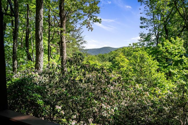 152 Broken Arrow Path, Home with 2 bedrooms, 2 bathrooms and null parking in Cherry Log GA | Image 26
