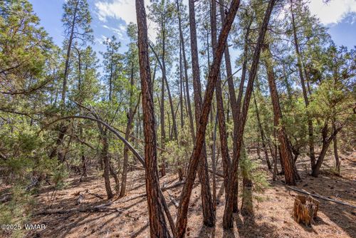 2038 Pine Wood Ln, Pinetop, AZ, 85935-7119 | Card Image