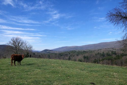 0000 Wolfe Rd, Covington, VA, 24426 | Card Image