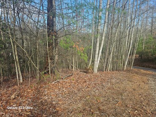 00 Antler Ln, Murphy, NC, 28906 | Card Image