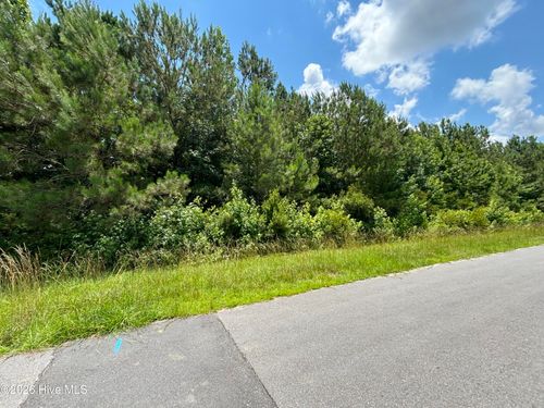 0 Progress Dr, Burgaw, NC, 28425 | Card Image