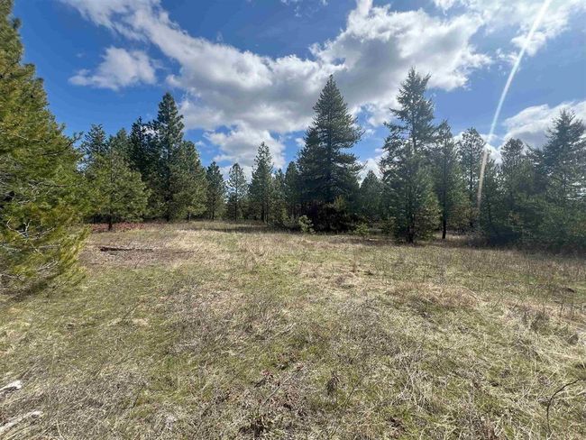 892 W Telephone Rd, Home with 0 bedrooms, 0 bathrooms and null parking in Newport WA | Image 4